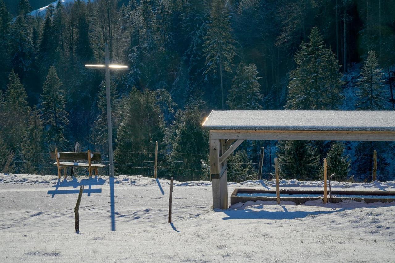 Unser Vorsaess - Geisskopf Schwarzenberg im Bregenzerwald Exterior foto